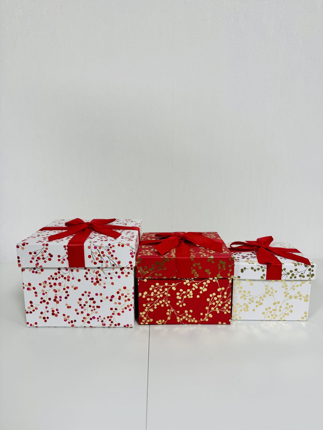Gift Packaging Box 03